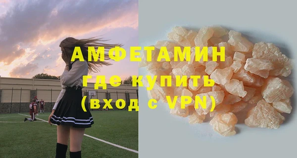 индика Волоколамск