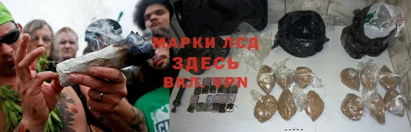 a pvp Верея