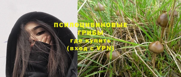 крисы Володарск