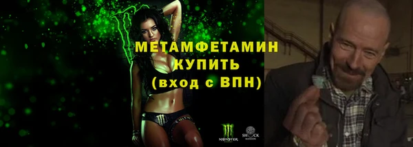 индика Волоколамск