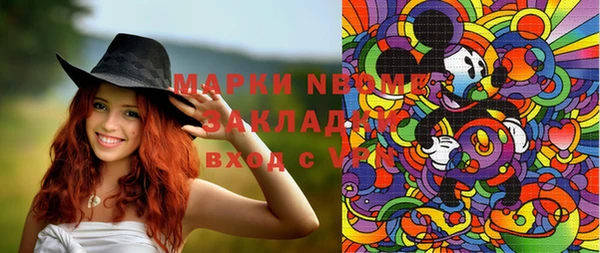 индика Волоколамск