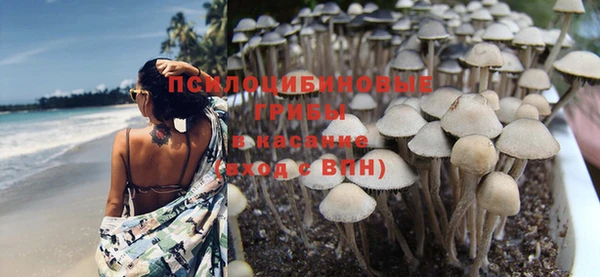 a pvp Верея